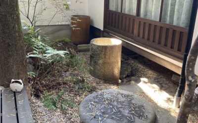 コンディショニングバレエ（大宮クラス）は今週末です