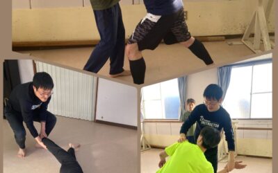 システマWS Vol.14レポート