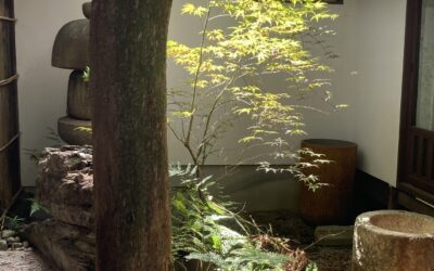 コンディショニングバレエ・大宮クラス3/21