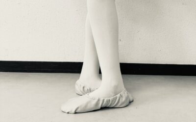 6月の予定